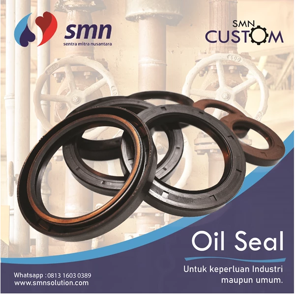 Oil Seal (Custom All Type All Size)